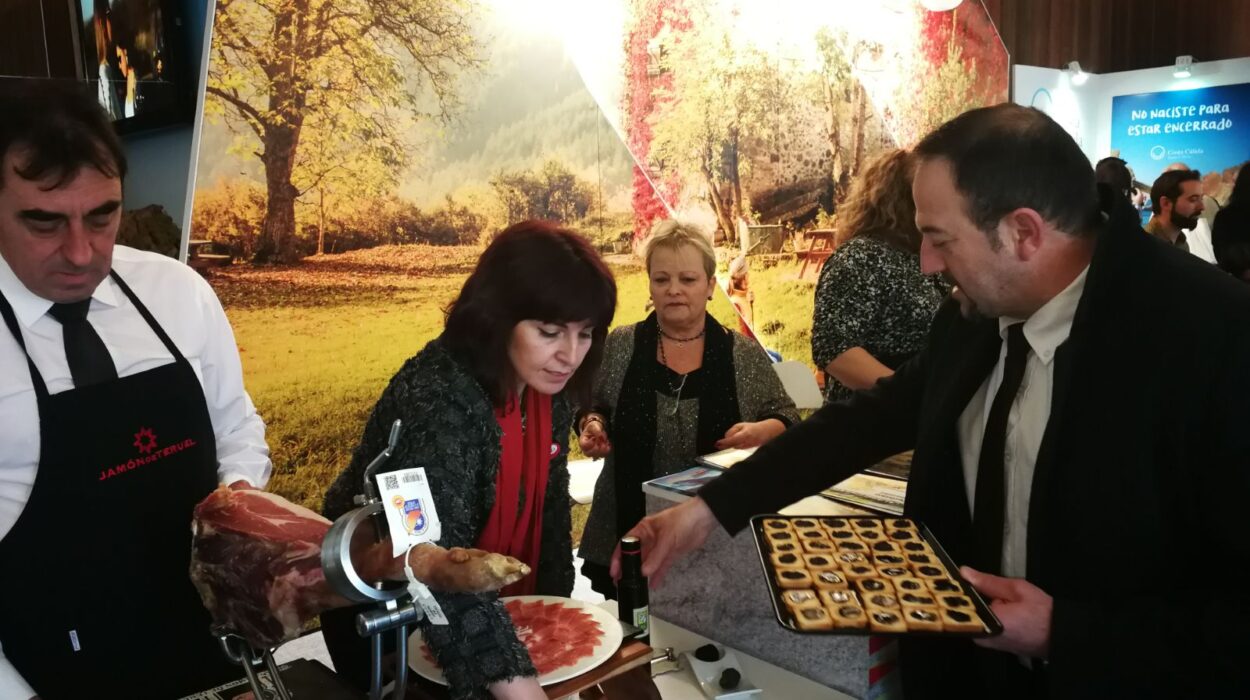 Turismo Diputacion en Navartur 2019